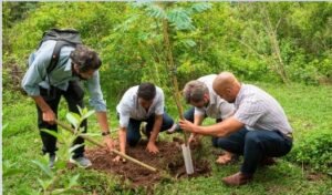 Lee más sobre el artículo Los “Bosques de la Poesía”