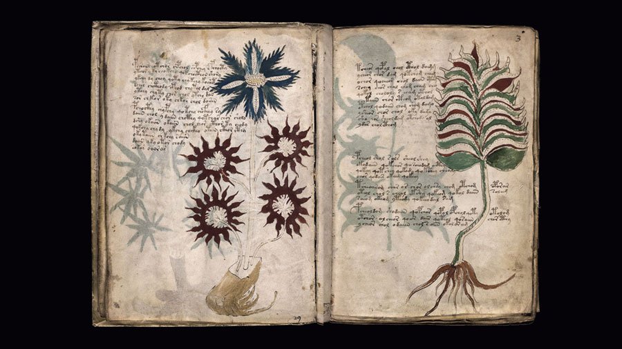 En este momento estás viendo Los misteriosos manuscritos de Voynich: ¿El libro más enigmático del mundo?