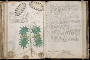 Lee más sobre el artículo El Código Voynich: El enigma sin resolver que lleva siglos