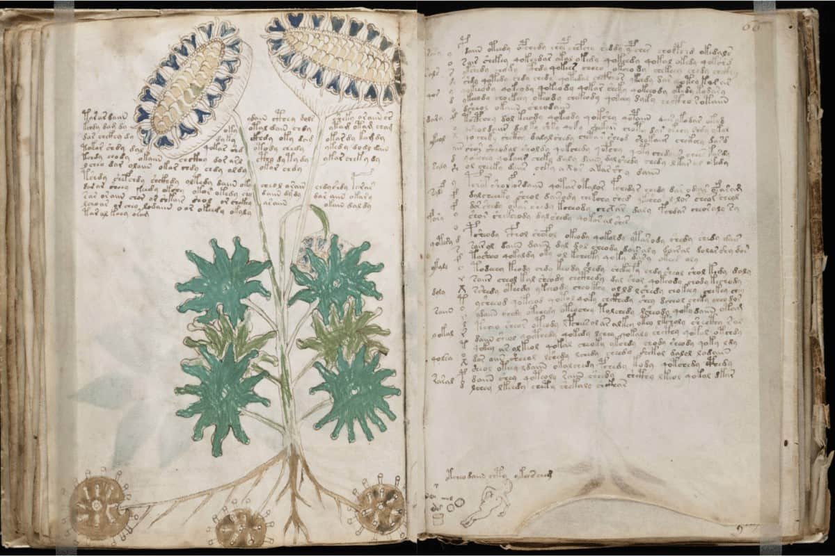 En este momento estás viendo El Código Voynich: El enigma sin resolver que lleva siglos
