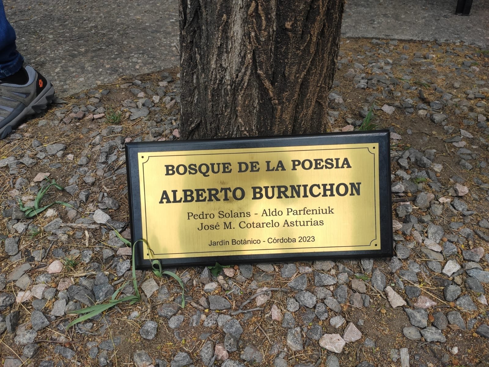 En este momento estás viendo El Bosque de la Poesía de Córdoba lleva el nombre de Alberto Burnichon