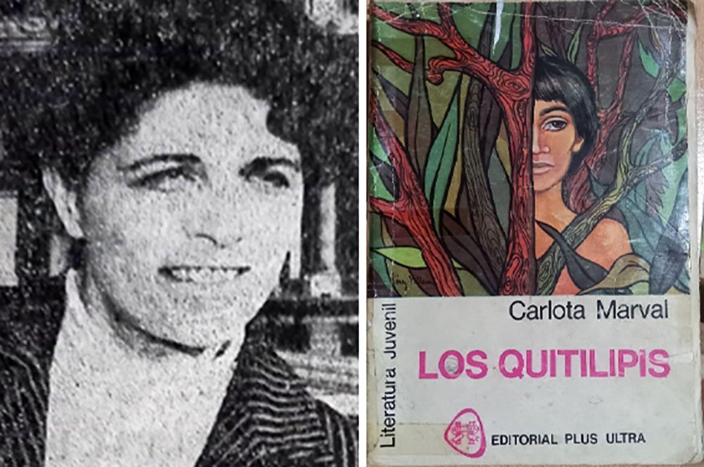 En este momento estás viendo La singular literatura de Carlota Marval