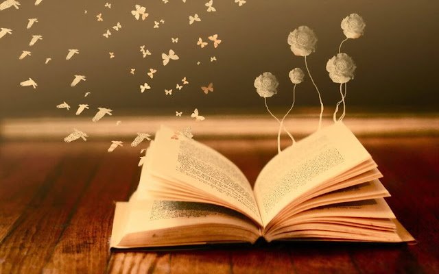 Lee más sobre el artículo Por qué hoy, 15 de junio, se conmemora el dia del libro en Argentina