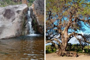 Lee más sobre el artículo Posta de Santa Cruz y Estancia Los Manantiales, hitos de la historia argentina