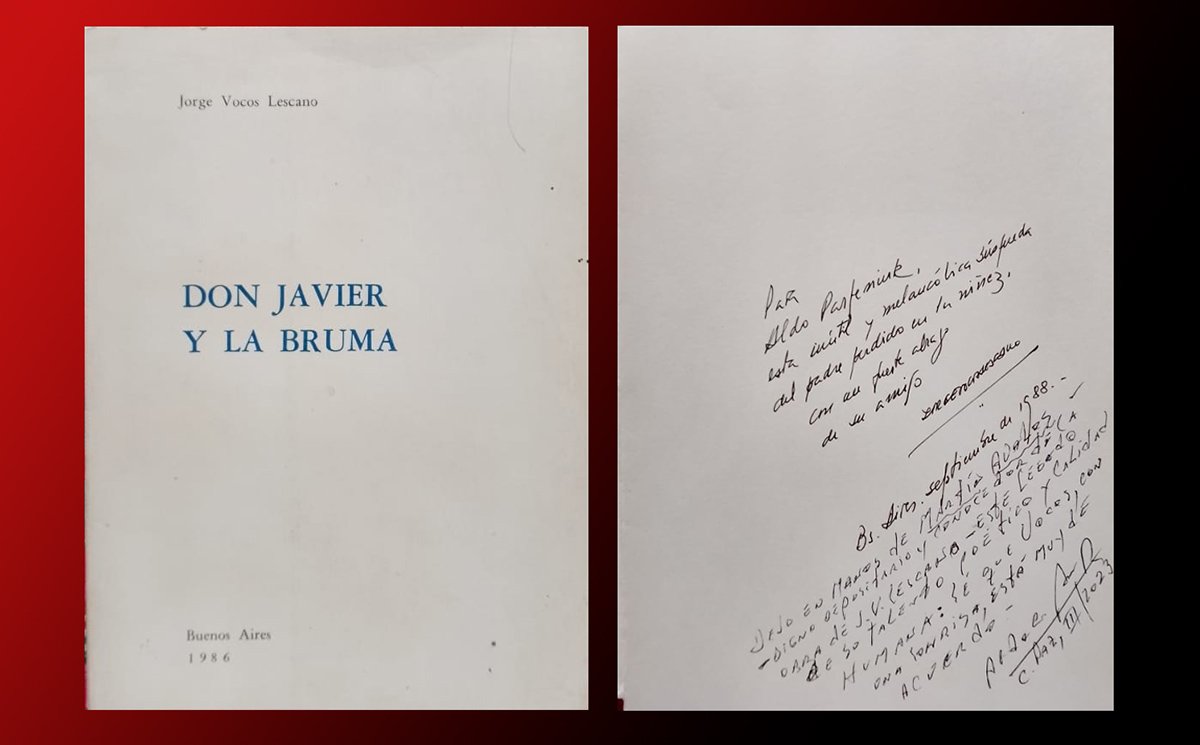 Lee más sobre el artículo Dialogando con la Bruma de Jorge Vocos Lescano