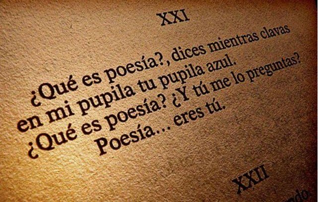 En este momento estás viendo Reflexiones en el Día Internacional de la Poesía