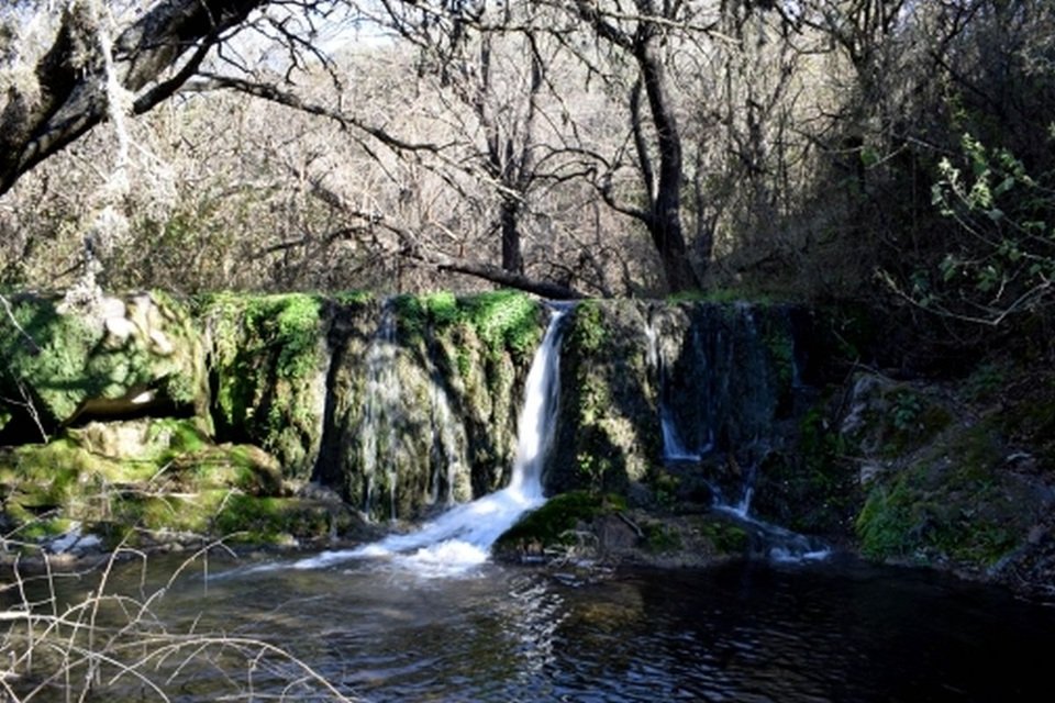 Lee más sobre el artículo Editorial: Defendamos la Reserva Natural La Calera